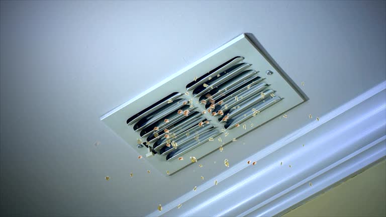 Best Ductwork Cleaning Services  in Rouse, CA